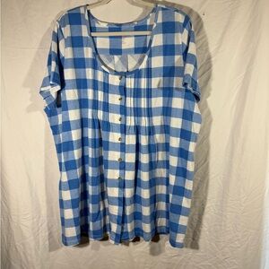 Woman Within Blue and Cream Plaid Shirt